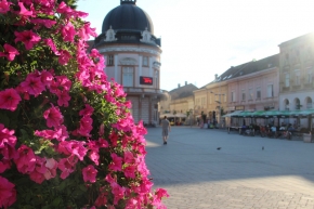 Sremska Mitrovica - Gradski trg 1