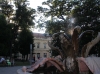 Sremska Mitrovica - Fontana cvet